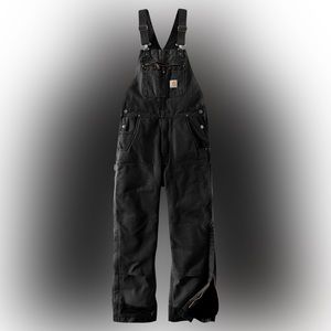 Carhartt Quilt-Lined Washed Duck Bib Overalls for Men Size 34x30